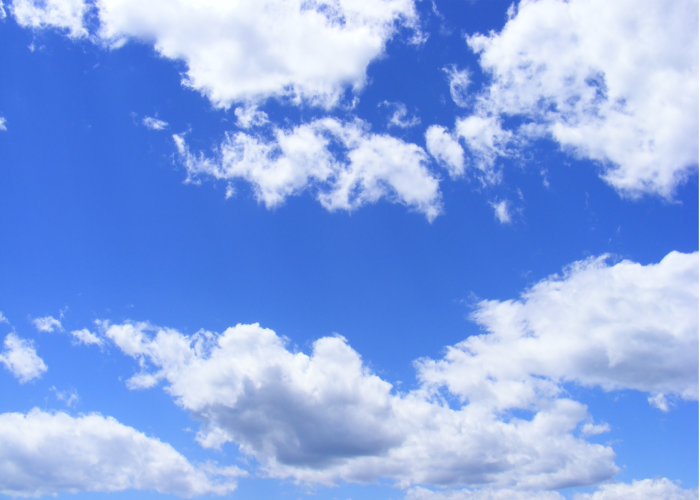 제목을 입력해주세요 008